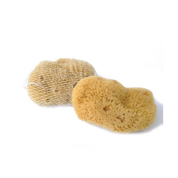 Mořská houba jemná kosmetická 8-9cm
