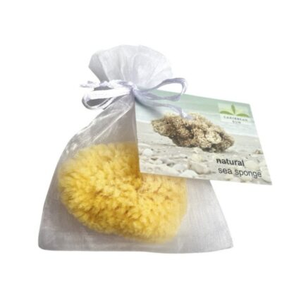 Kosmetická houbička na obličej